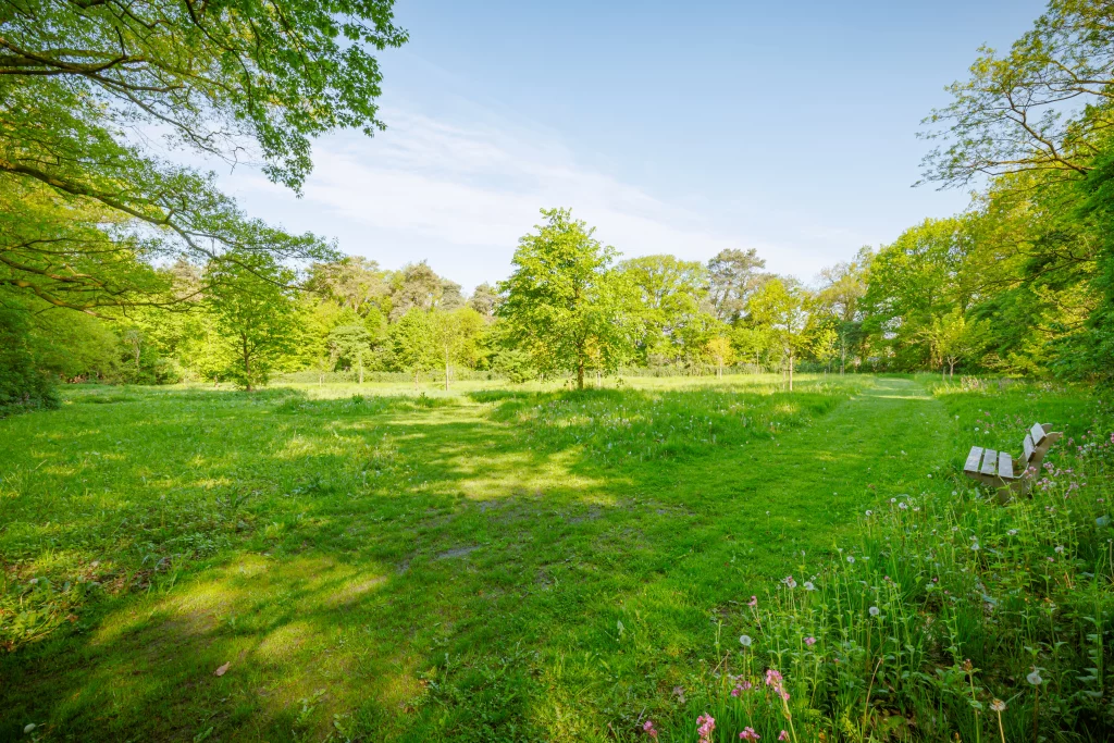 Groen grasveld met jonge bomen en wandelpad op natuurbegraafplaats Het Kleine Blik.