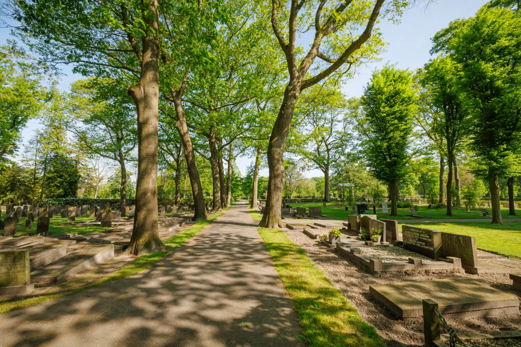 Laan met oude graven en hoge bomen op de begraafplaats aan de Ninaberlaan.