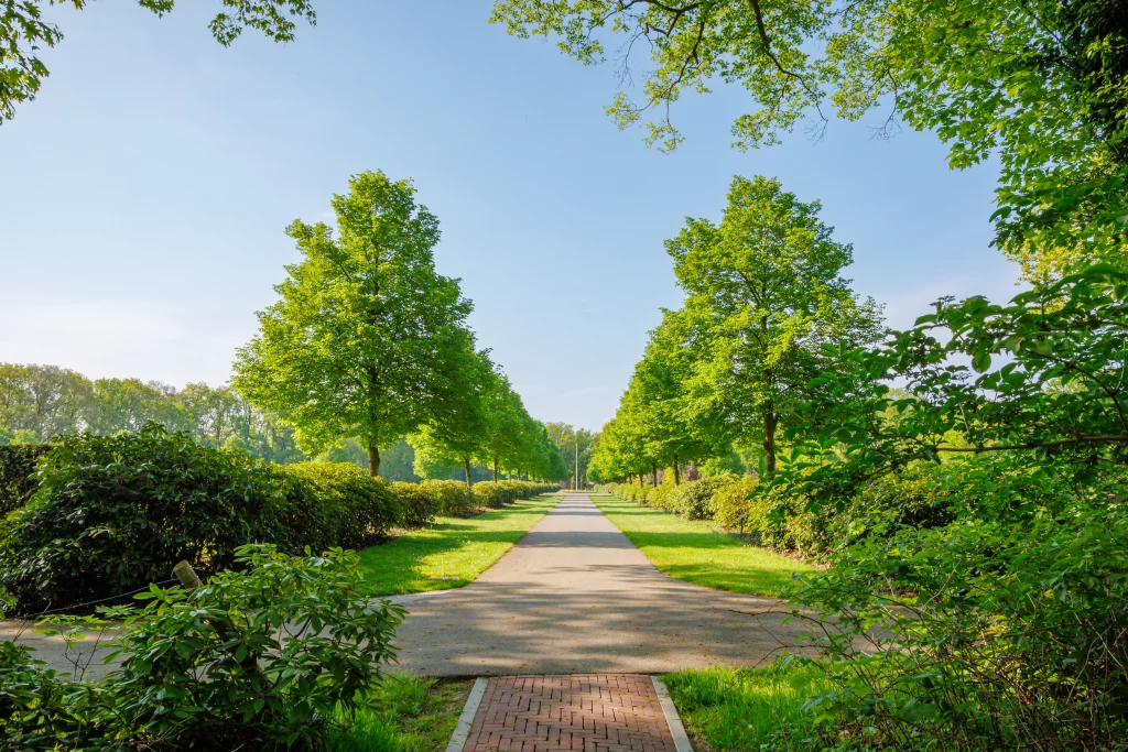 Laan met bomen en groenstroken op de begraafplaats aan de Meester Ponsteenlaan.
